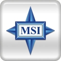Microstar logo