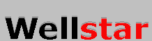 Wellstar logo
